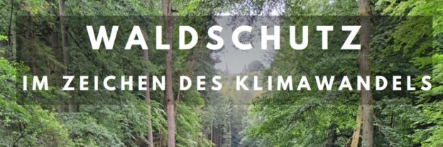 Waldschutz